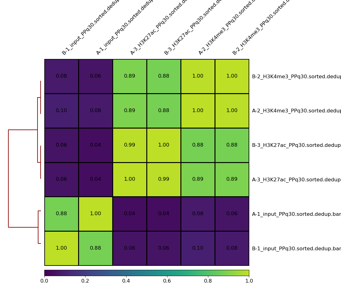 Pearson correlation dunnart BAM files