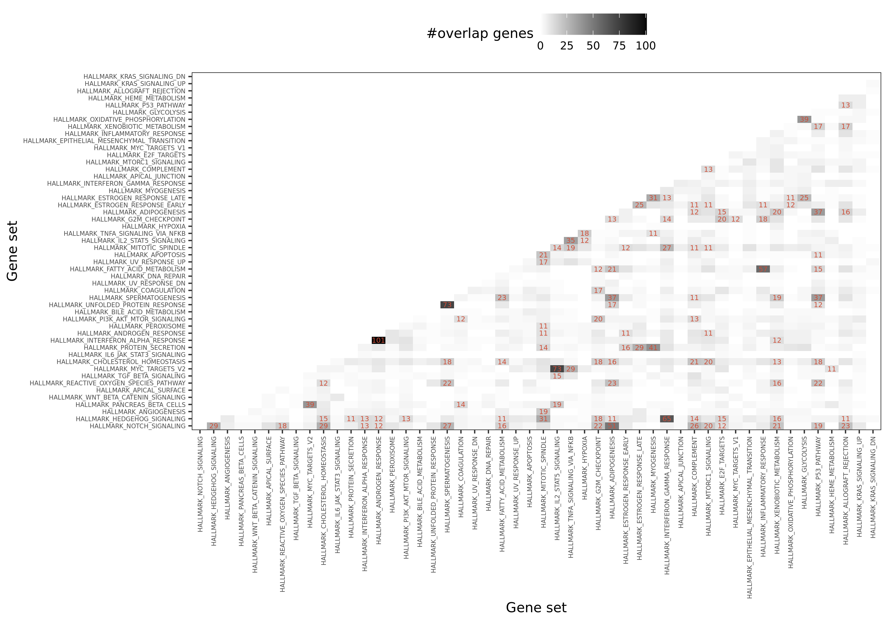 Overlapped genes among 50 hallmark gene sets