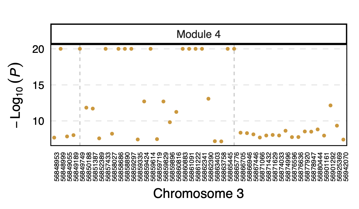 Figure: DGN p values of signals for module 4 in loci ARHGEF3