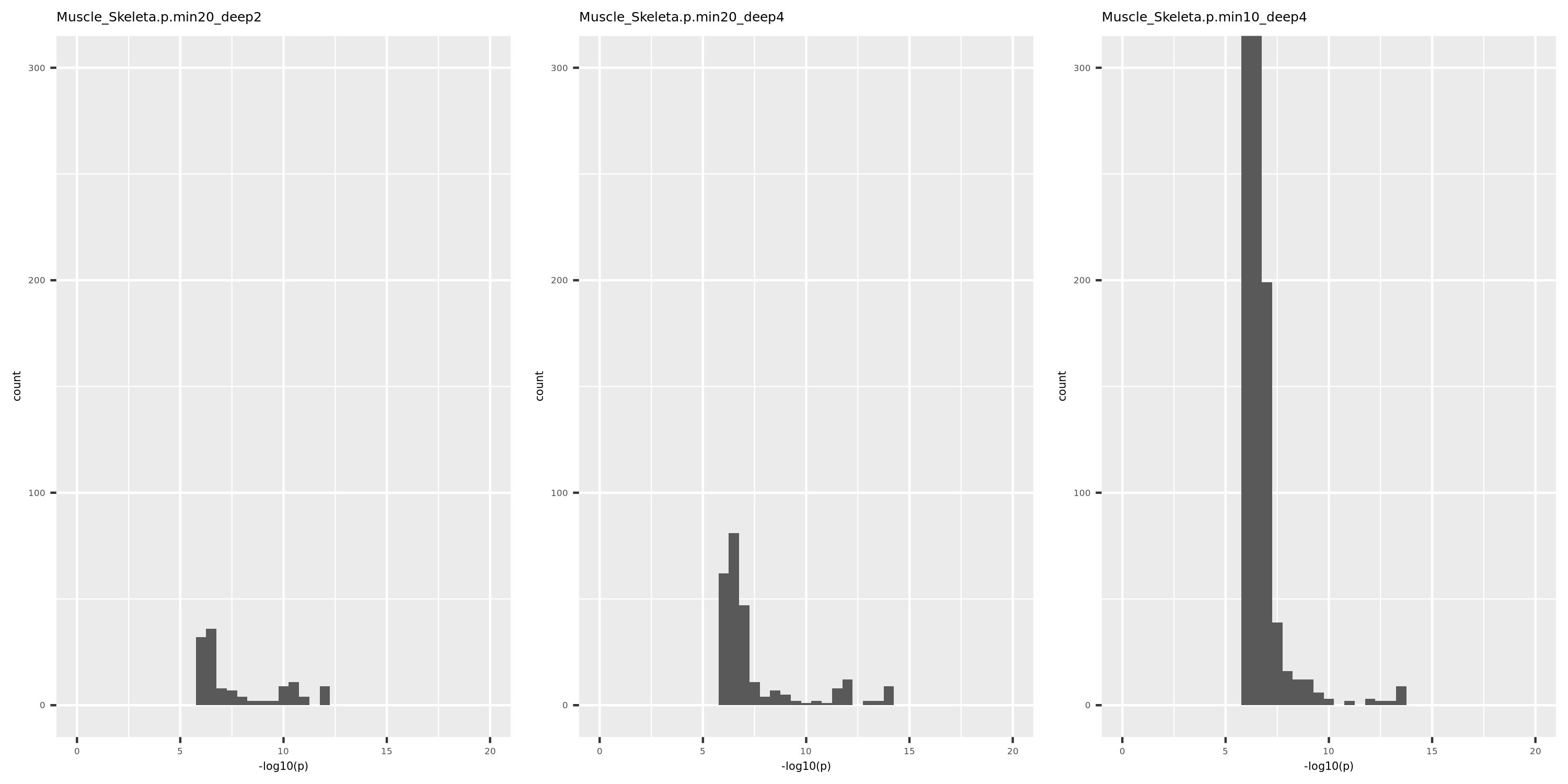 p distribution of Muscle