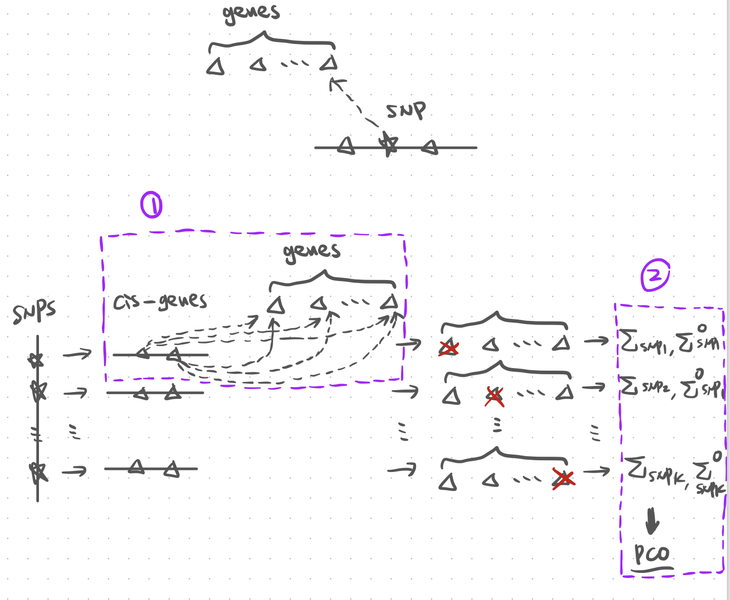 Figure. Illustration of PCO with cross mappable genes.