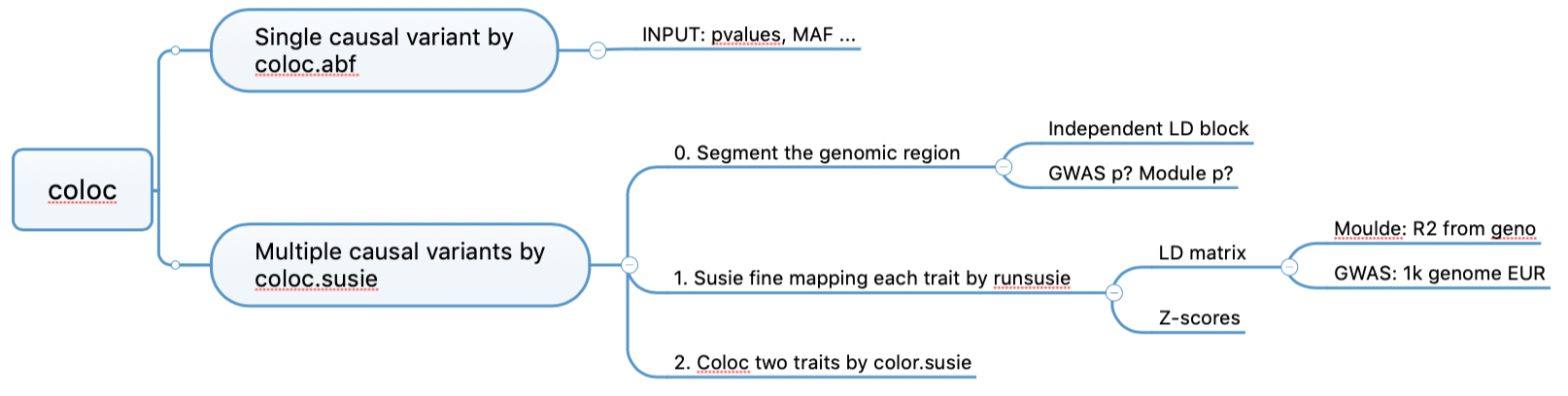 coloc code workflow