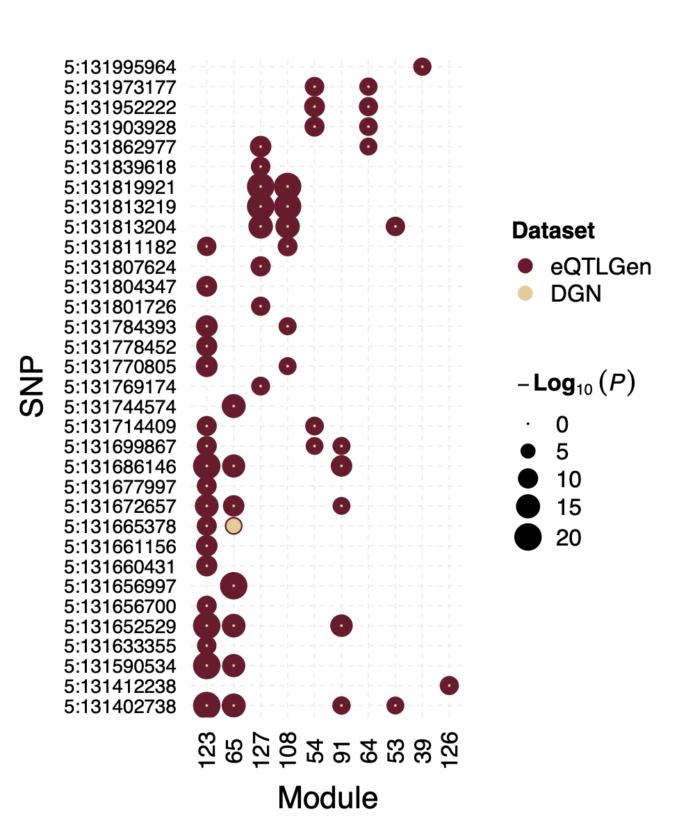 Figure: P values for SNPs near loci IRF1 and their corresponding modules, for eQTLGen and DGN. Modules ordered by freq.