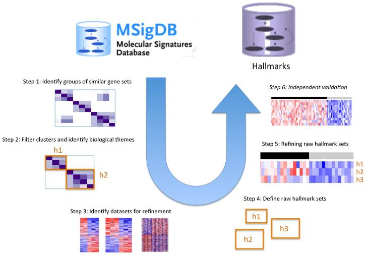 Pipeline to obtain hallmark gene sets from other MSigDB gene sets.