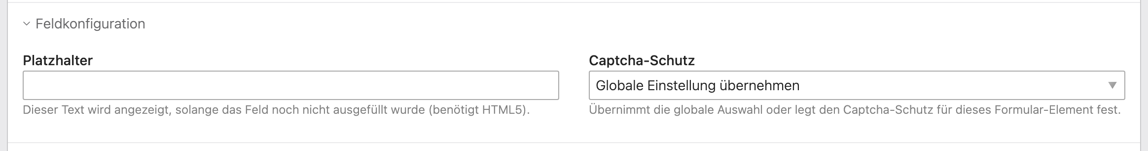 Captcha-Schutz pro Formular-Element