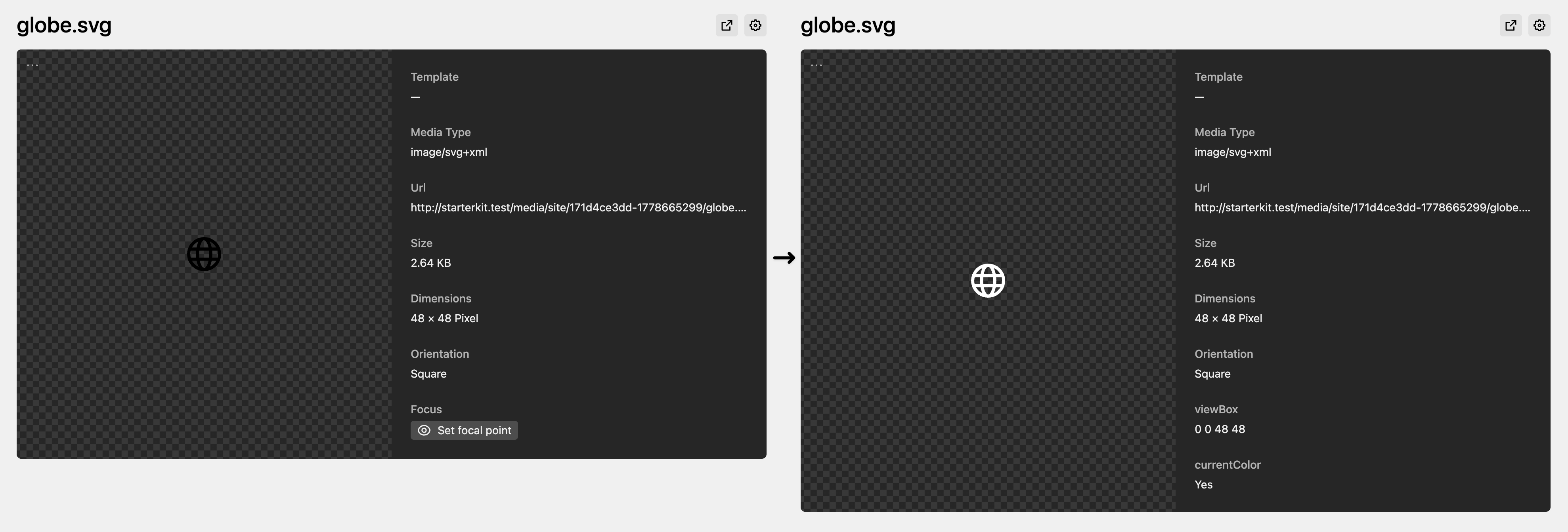 File detail view with SVG-specific metadata rows