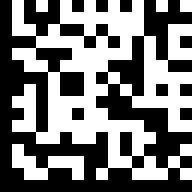 Data Matrix