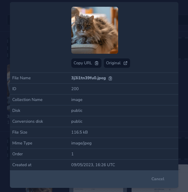 screenshot of field