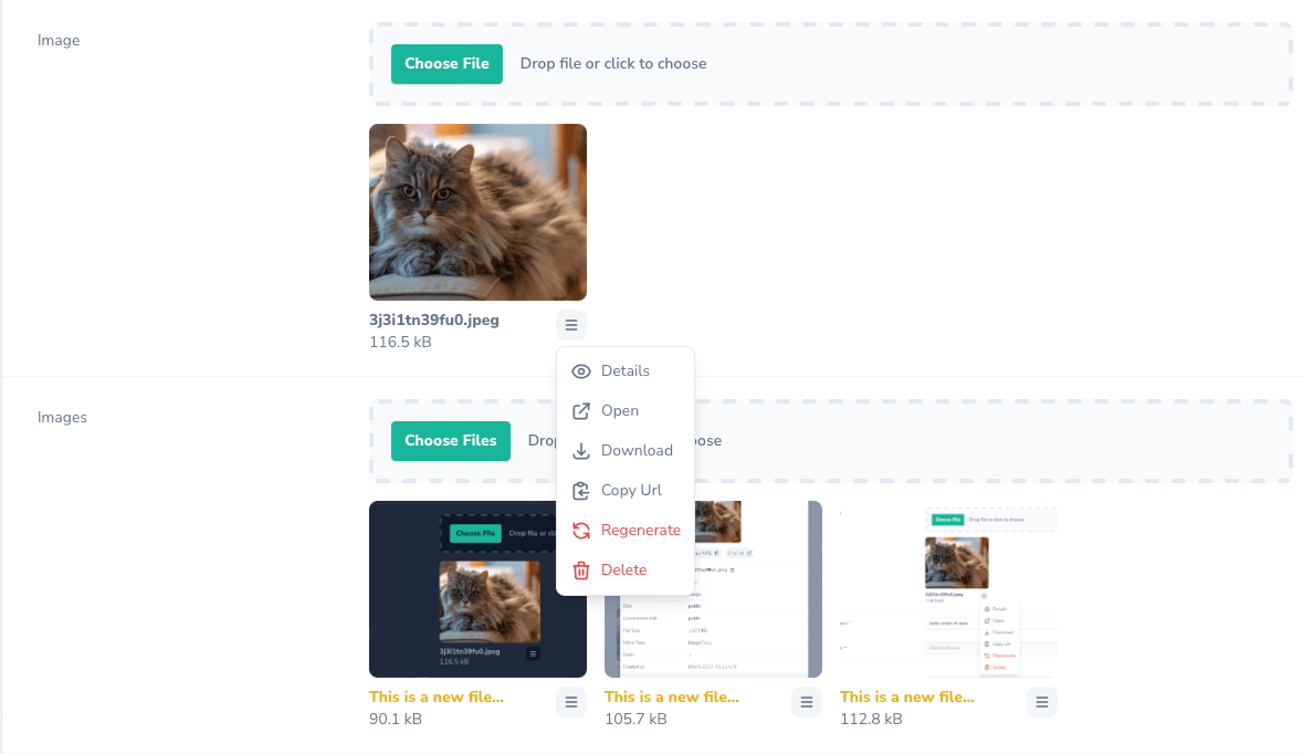 screenshot of field