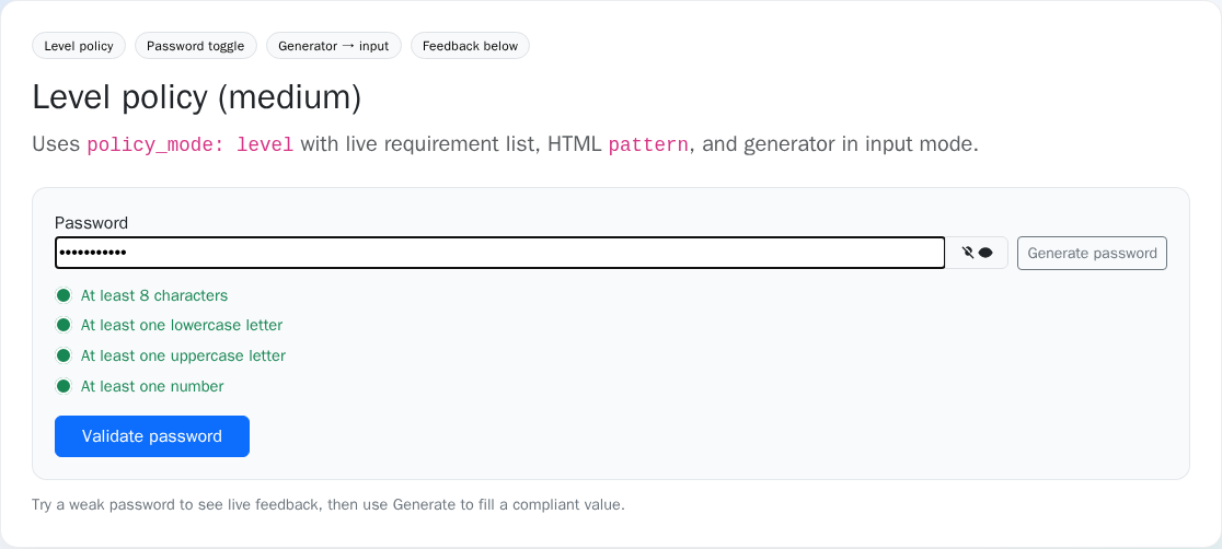 Password strength field with all requirements met