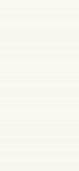 The library on mobile