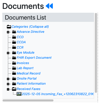Received Faxes in Patient Documents