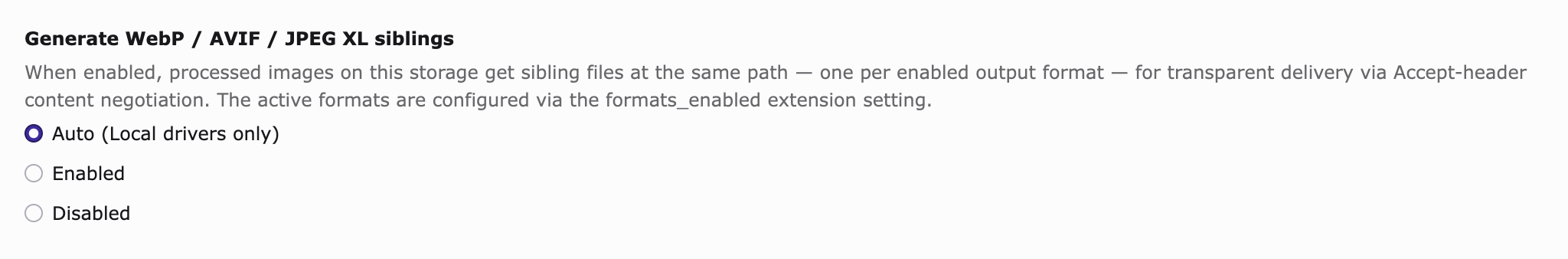 Generate WebP / AVIF / JPEG XL siblings storage setting