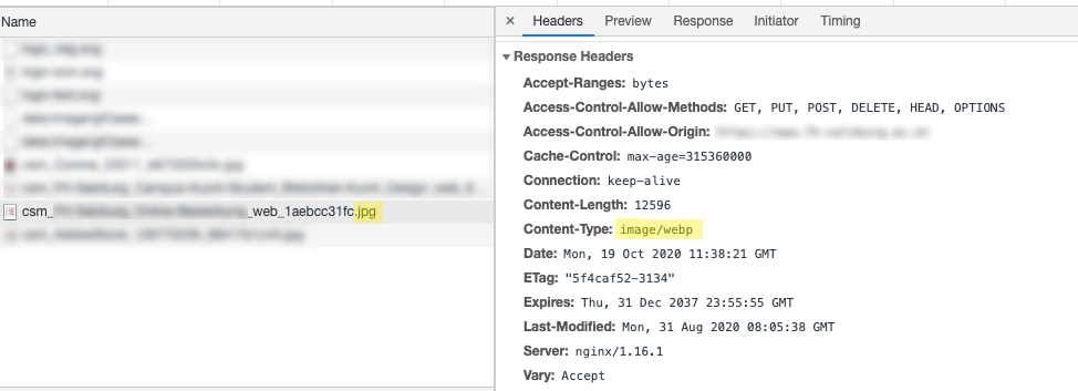 Response headers showing image/webp