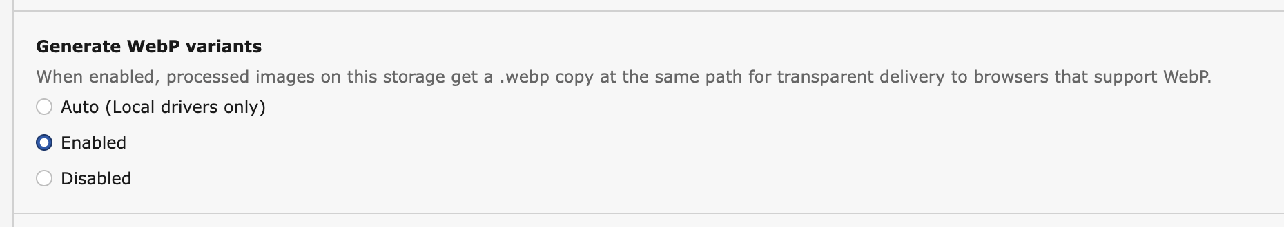 Generate WebP variants storage setting