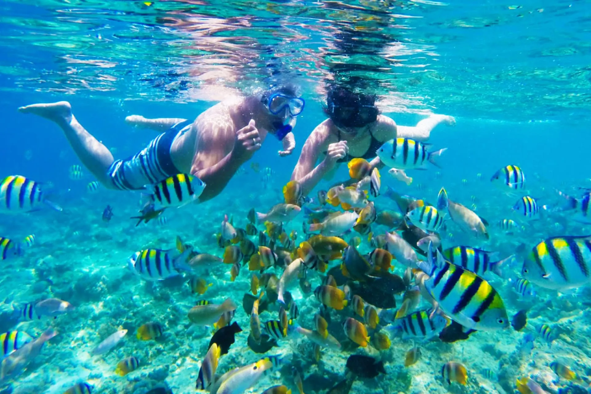 Full Day Snorkeling Excursion