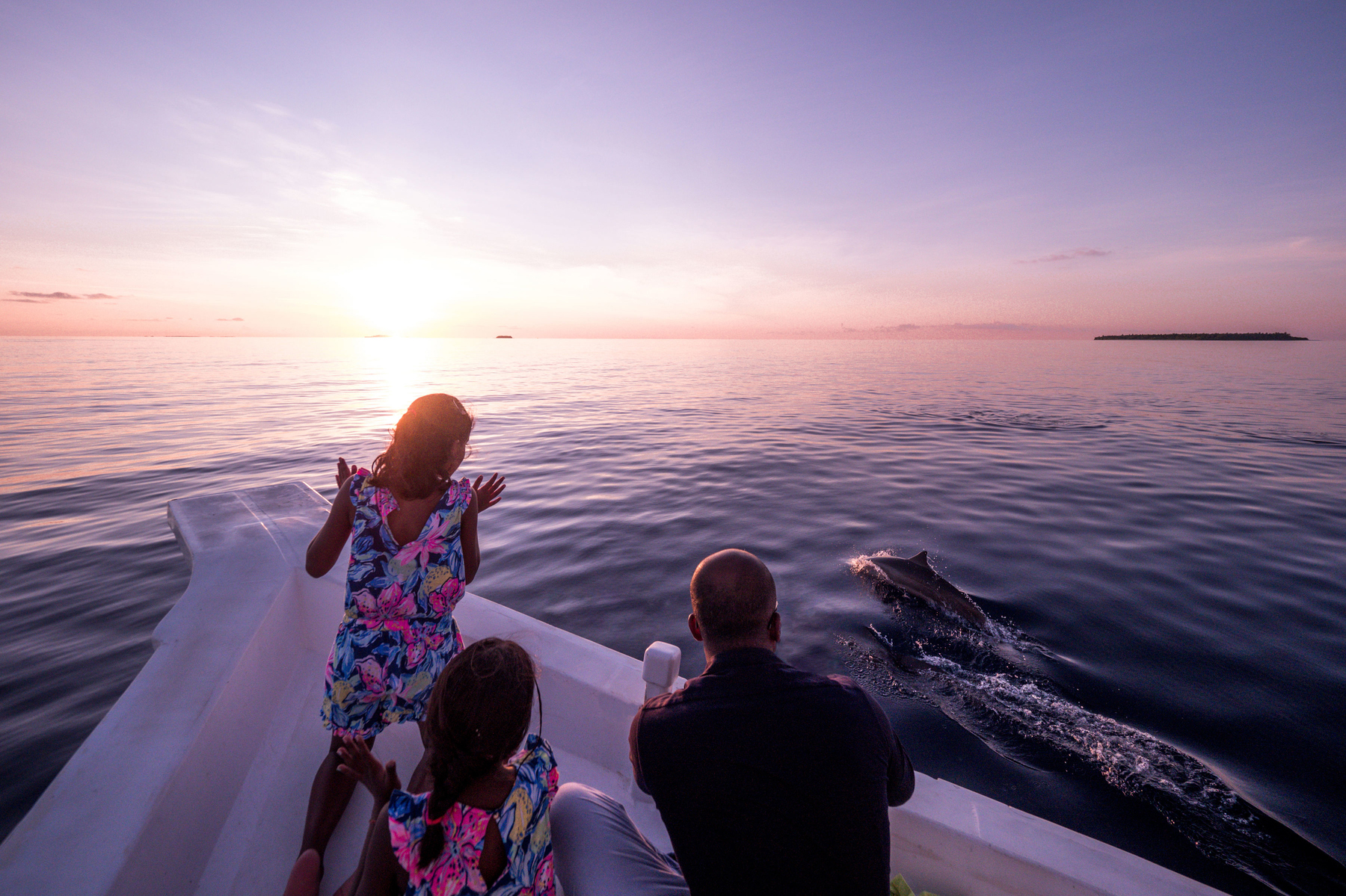 Sunset Dolphin Cruise