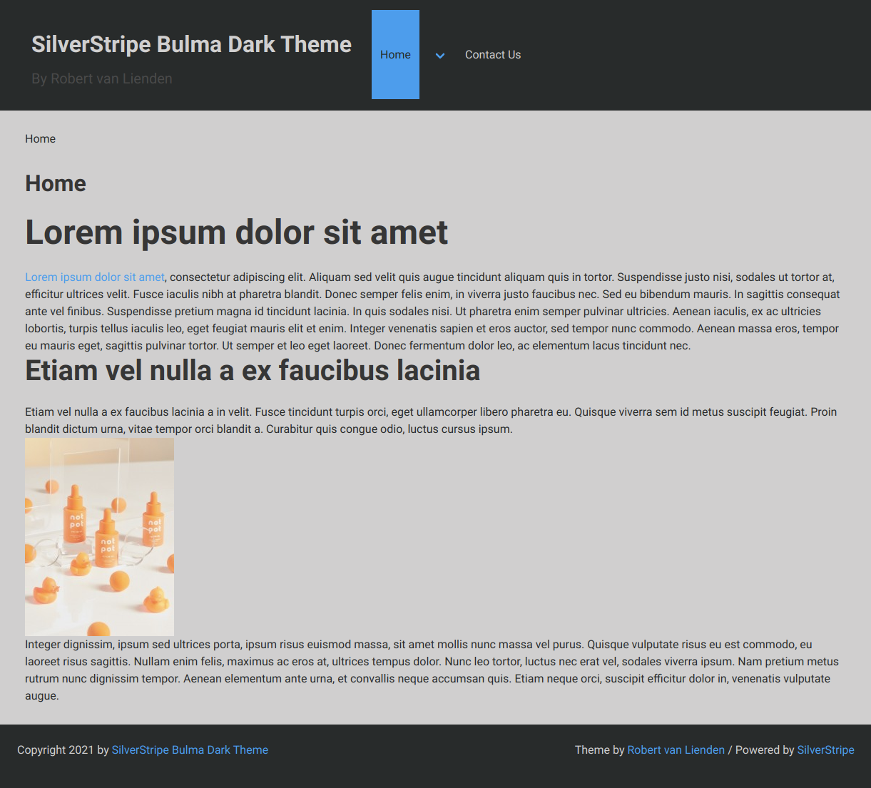 Screenshot SilverStripe Bulma Dark Theme