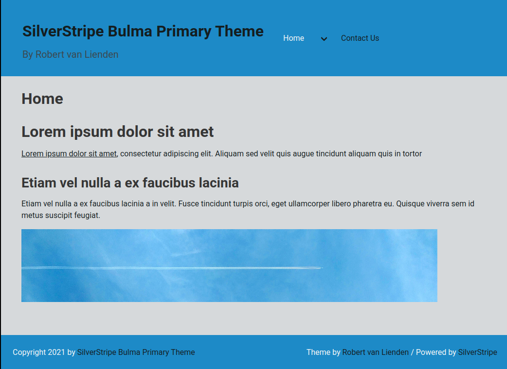 Screenshot SilverStripe Bulma Primary Theme blue