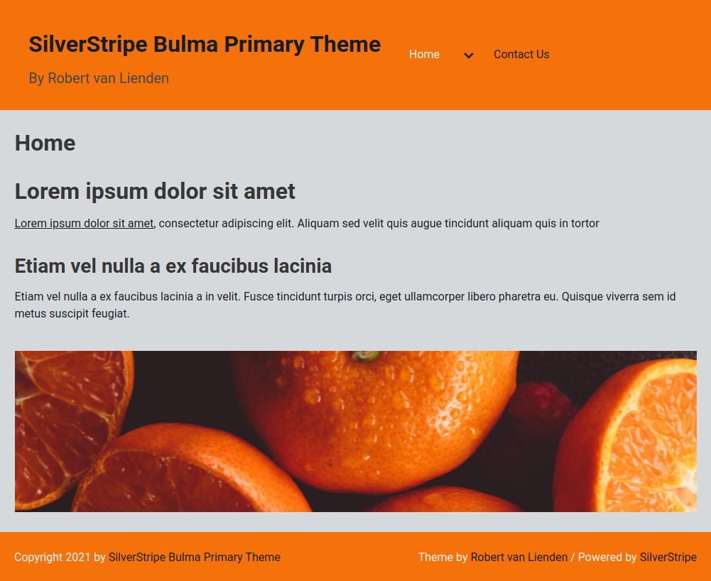 Screenshot SilverStripe Bulma Primary Theme orange
