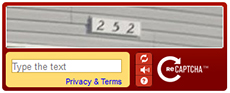 Recaptcha Screenshot