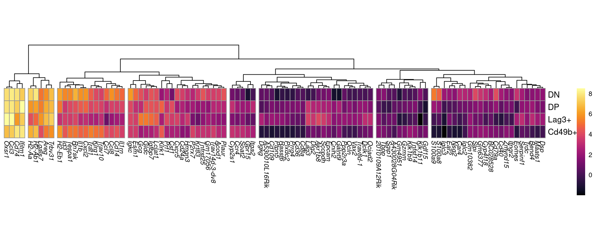 The 100 genes showing the most extreme fold-change across one or more comparisons