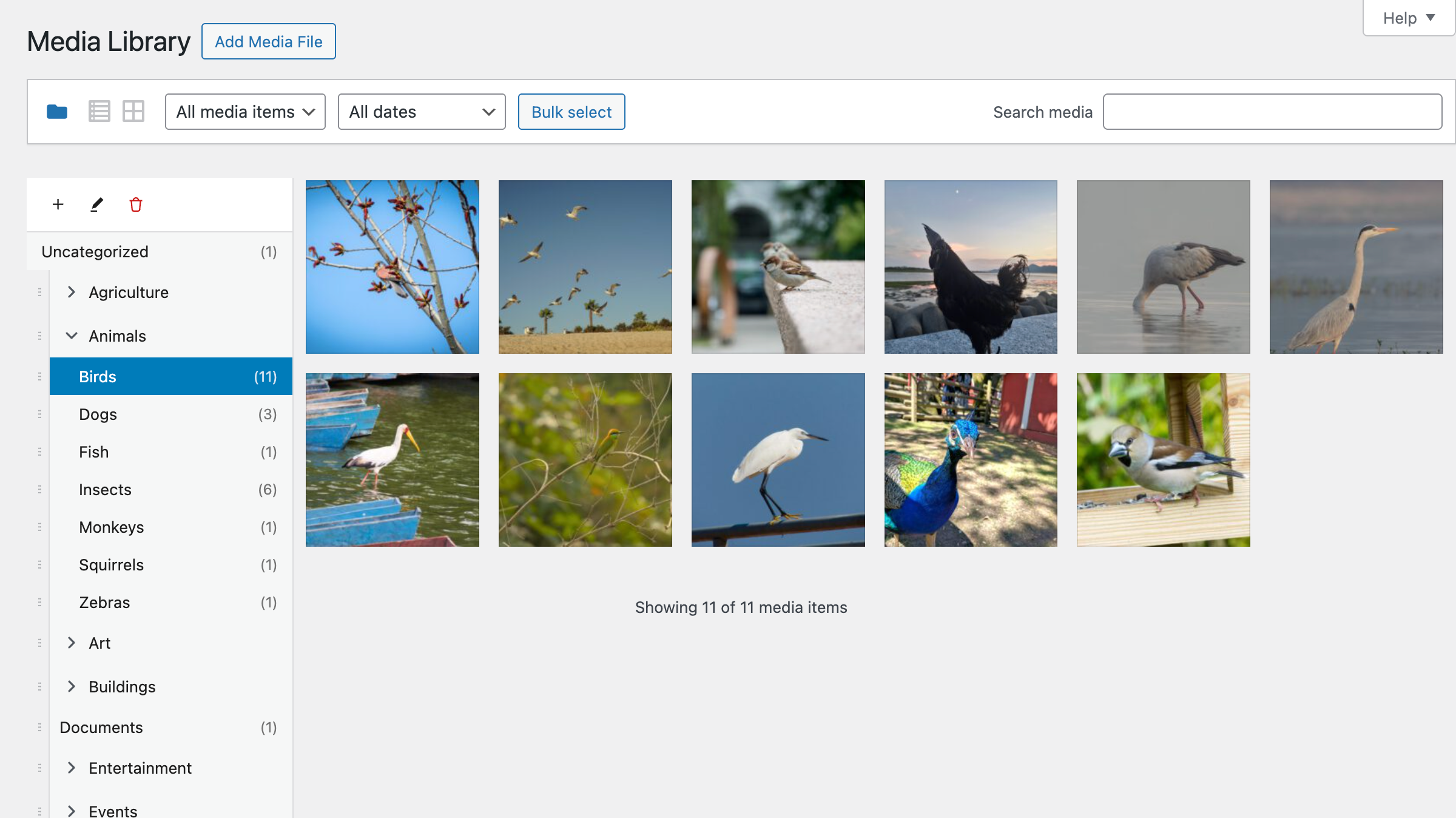 Virtual Media Folders AI Organizer - Order in Chaos