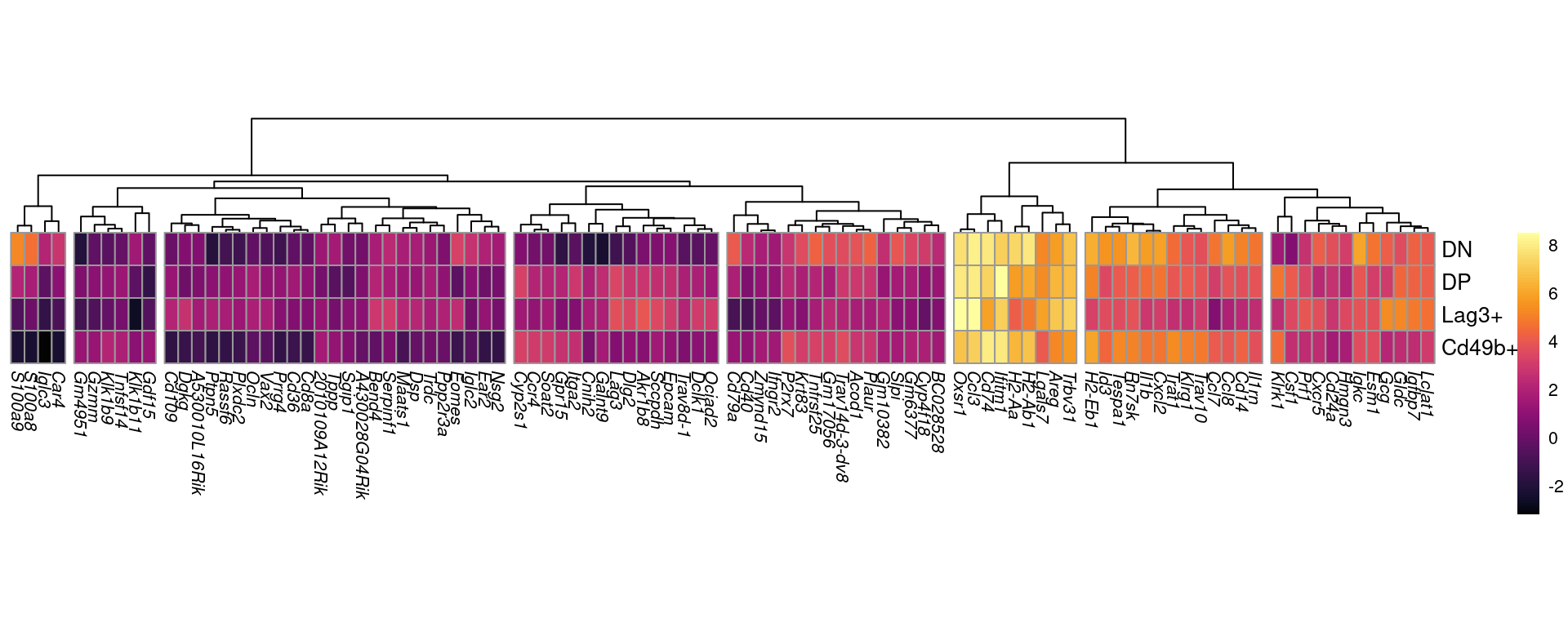 The 100 genes showing the most extreme fold-change across one or more comparisons