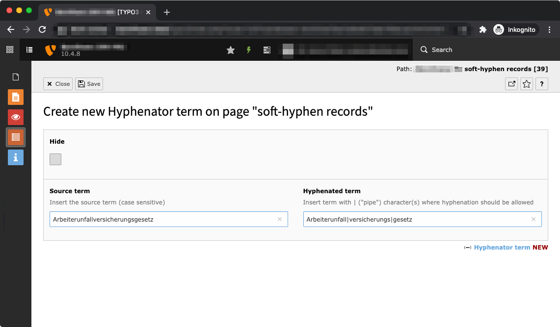 Screenshot of the TYPO3 backend with a record example