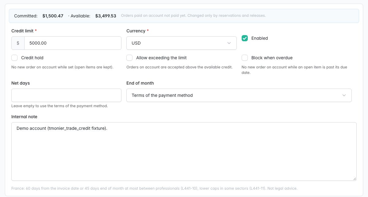Trade credit account form