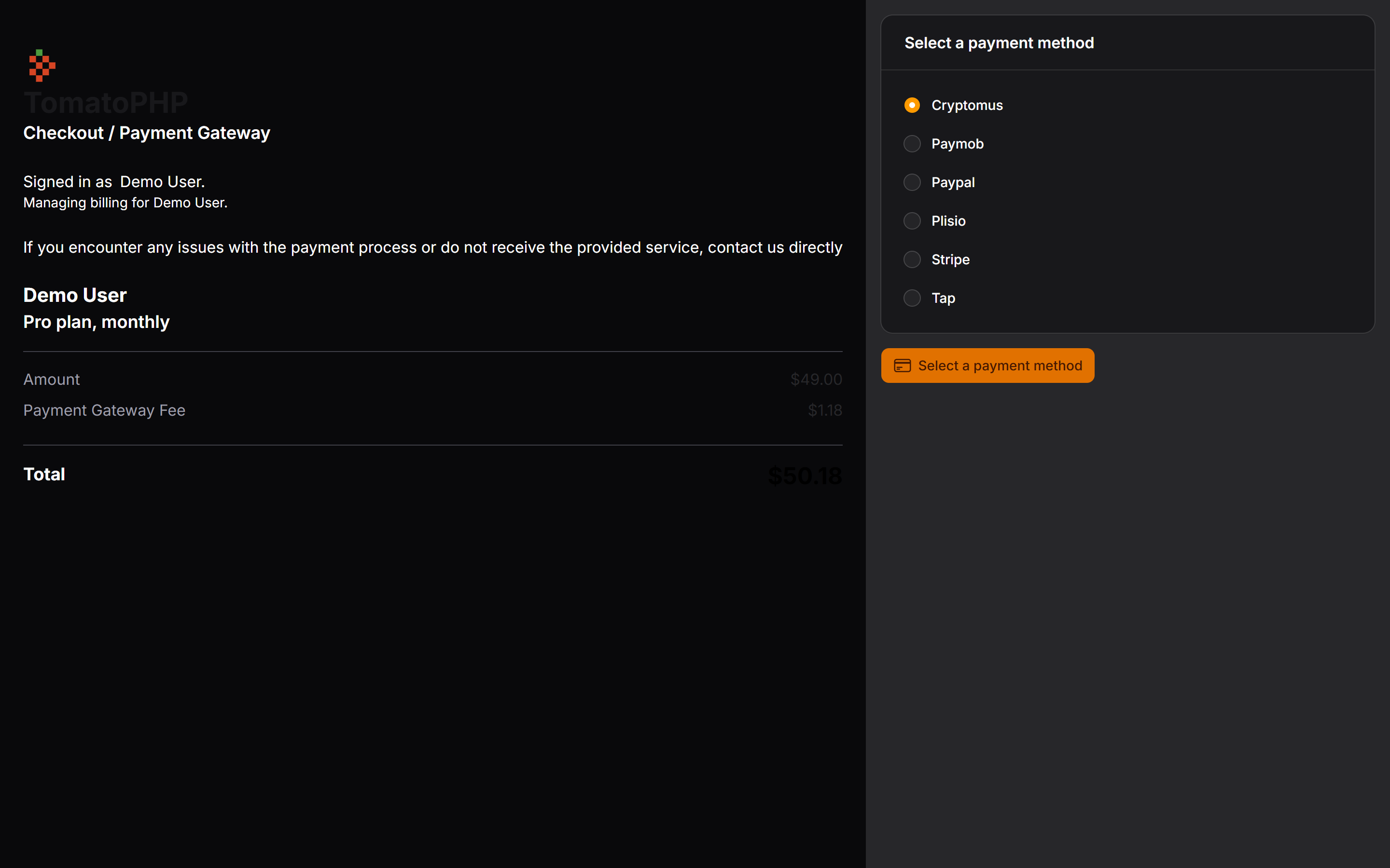 Payment Page Dark