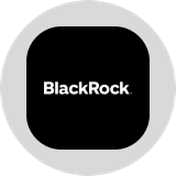Blackrock  Inc   Ondo Tokenized Stock