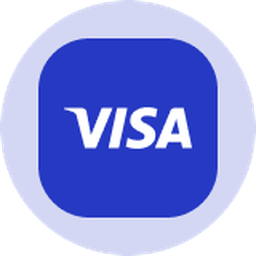 Visa  Ondo Tokenized Stock