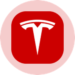 Tesla  Ondo Tokenized Stock