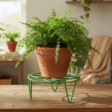 Round Strong Metal Plant Pot Stand for Indoor & Outdoor Garden Use - Nova Cart