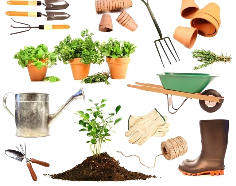 collection-img