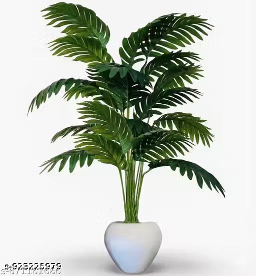 Lucky tree 18 patta plant without pot for home office bedroom and any area decorate the house fast - Fluxx Kart
