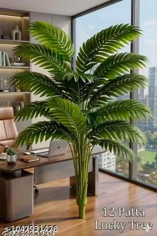 Lucky tree 12 patta plant without pot for home office bedroom and any area decorate the house fast - Fluxx Kart