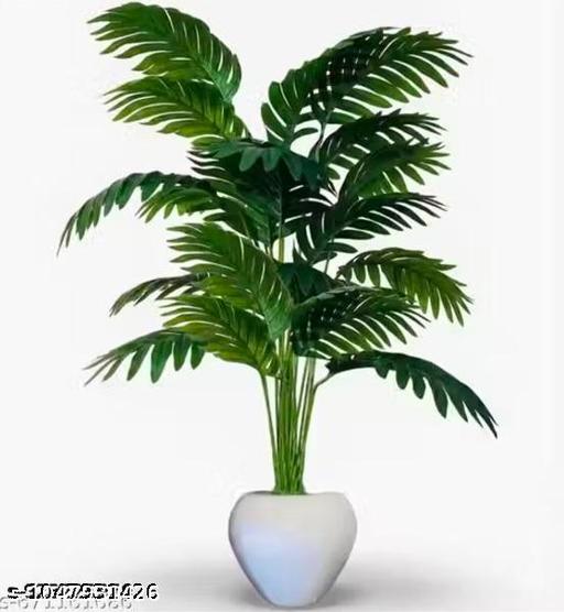 Lucky tree 12 patta plant without pot for home office bedroom and any area decorate the house fast - Fluxx Kart
