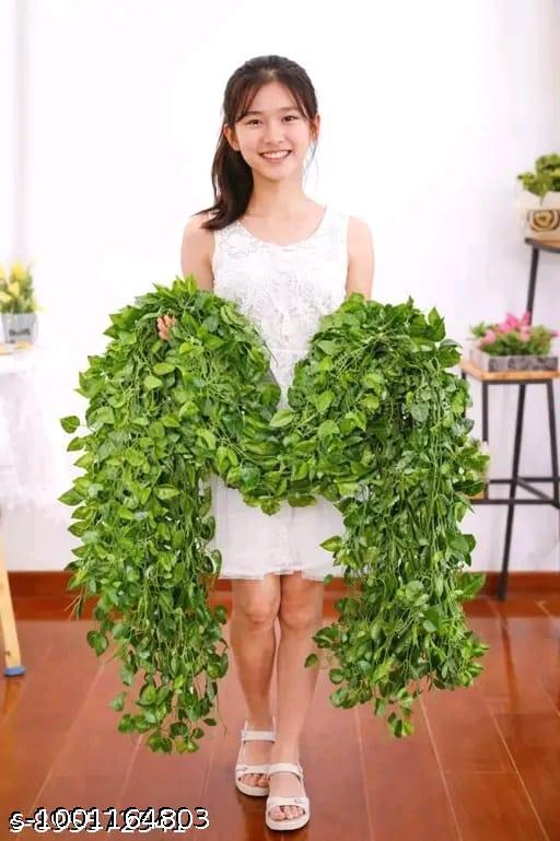 Smart_ Choice Long Artificial Money Plant Vine Set | Decorative Hanging Green Leaves for Home Wall Decor - Fluxx Kart