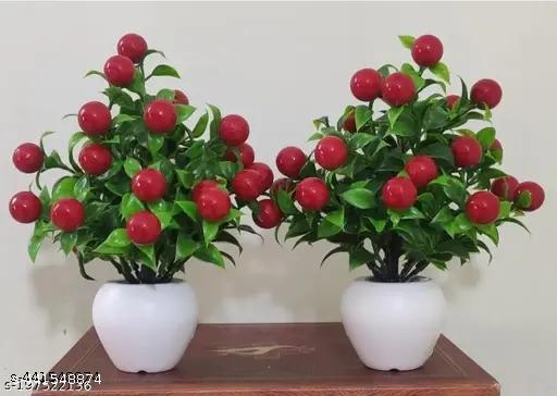 Dev Creation red cherry with apple pot set of 2pcs - My Health Plan