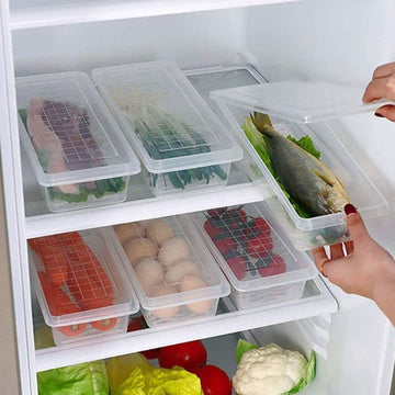 Freezer Storage Containers – 6-Pack 1500ML with Drain Plate | Organivo - Velora online store 
