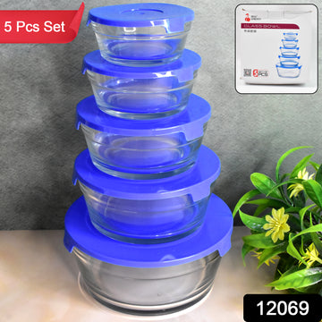 Glass Bowl Set – 5-Piece Modern Storage | Organivo - Velora online store 