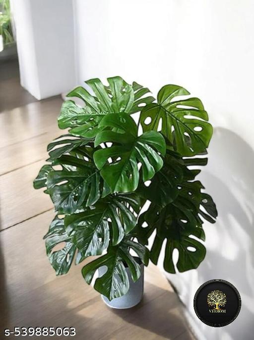 Artificial Monstera Plant | 18 Long Leaves | 60 CM Long | without Pot - Piktocart