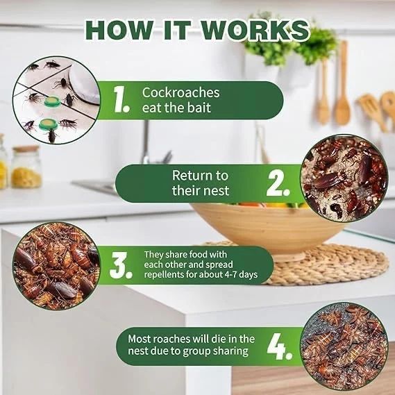 COCKROACH KILLER GEL TRAP - Totnox 