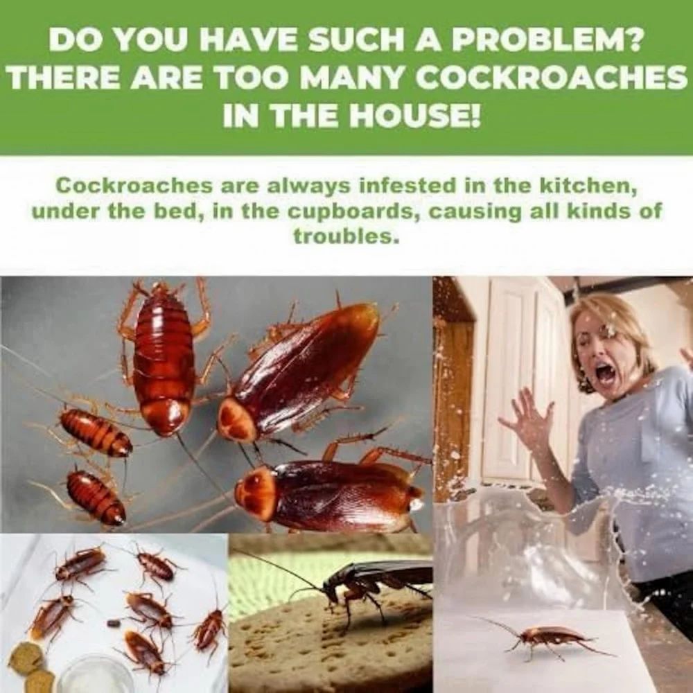COCKROACH KILLER GEL TRAP - Totnox 