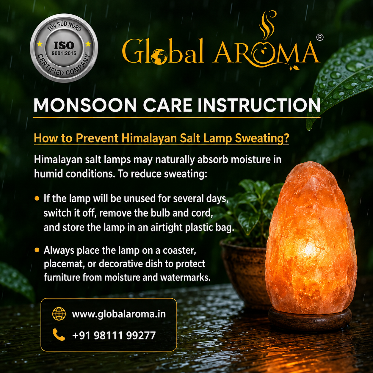 Natural Shape Rock Salt lamp on Wooden Base (2kg+ Approx) - WYNAMIX store