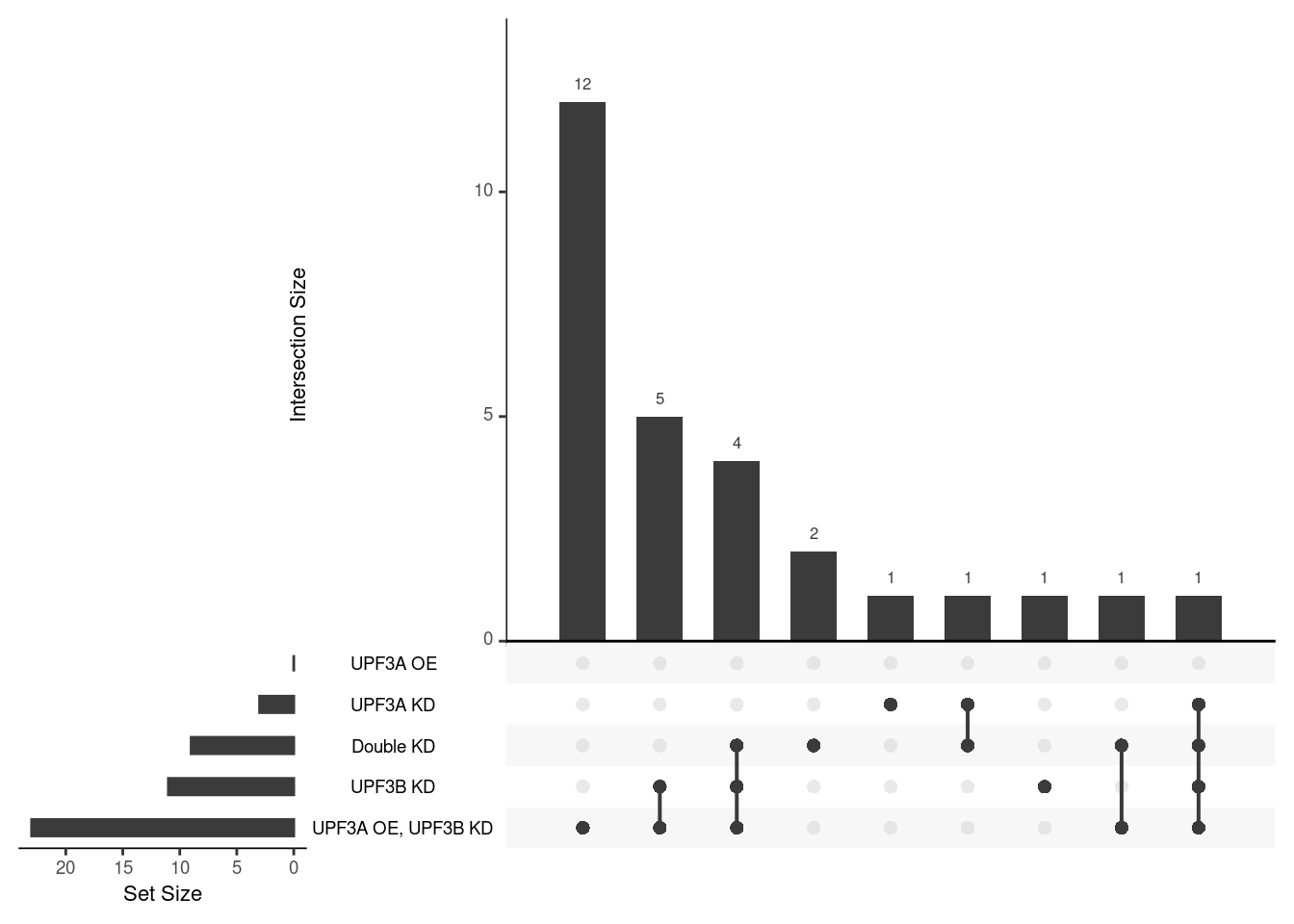 Overlap of terms between enrichment analyses of different groups