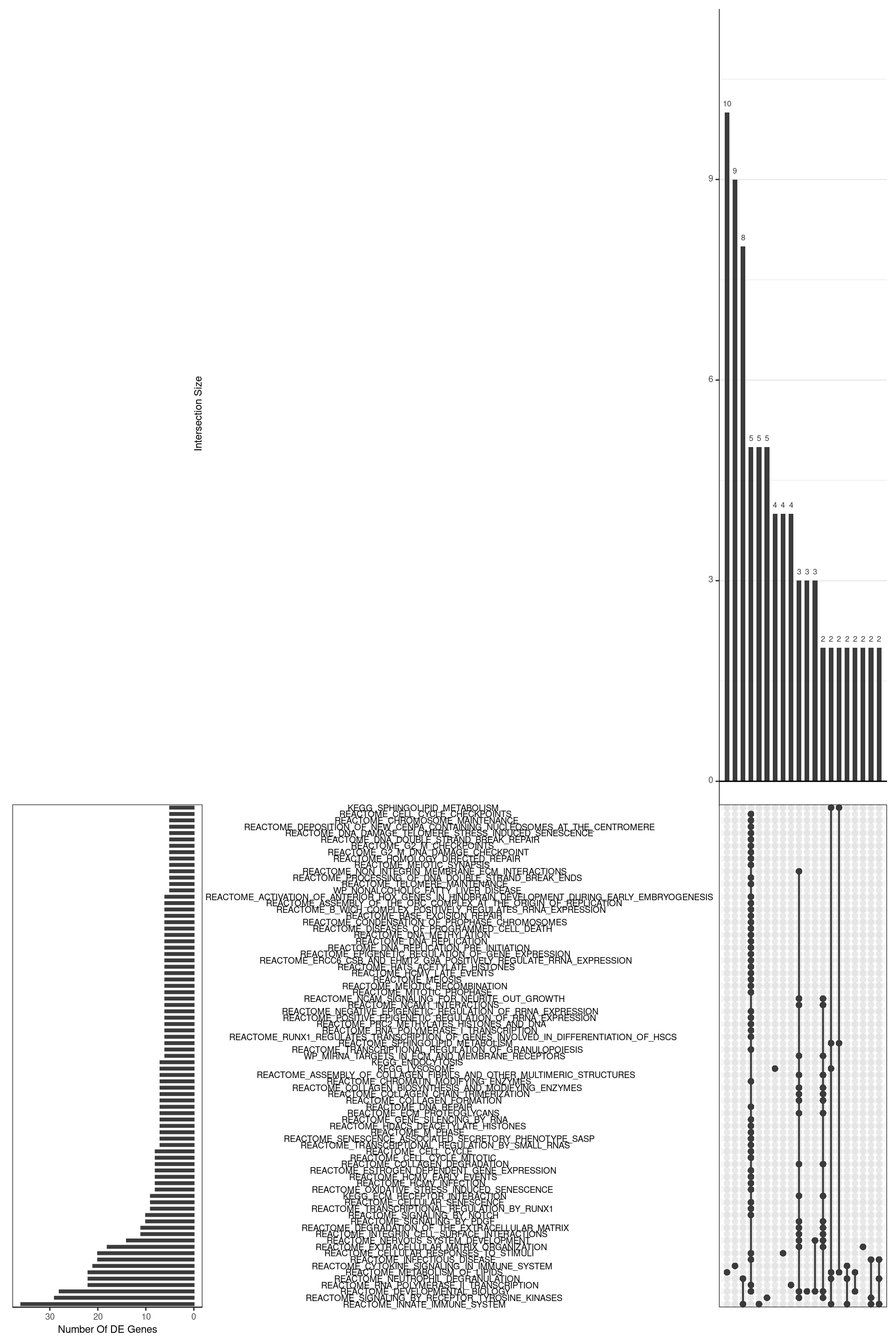 *UpSet plot indicating distribution of DE genes within all significant gene sets. Gene sets were restricted to those with an FDR < 0.05 and at least 5 DE genes*