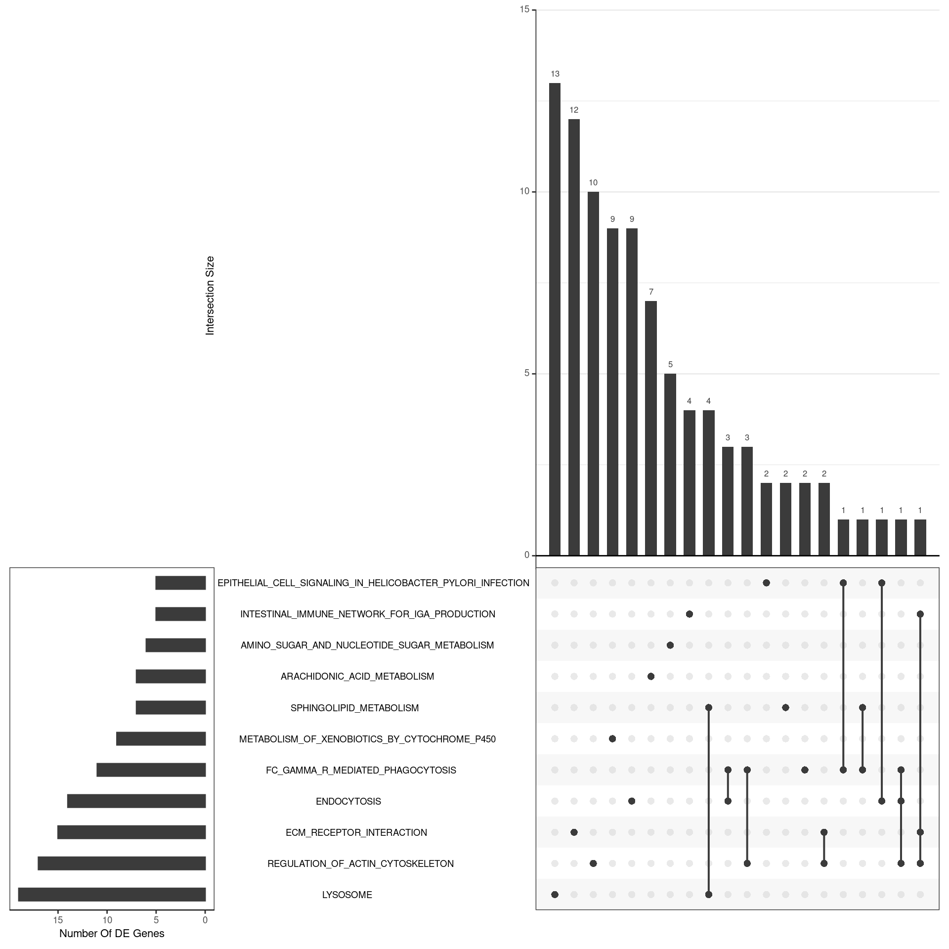 *UpSet plot indicating distribution of DE genes within all significant gene sets. Gene sets were restricted to those with an FDR < 0.05 and at least 5 DE genes*